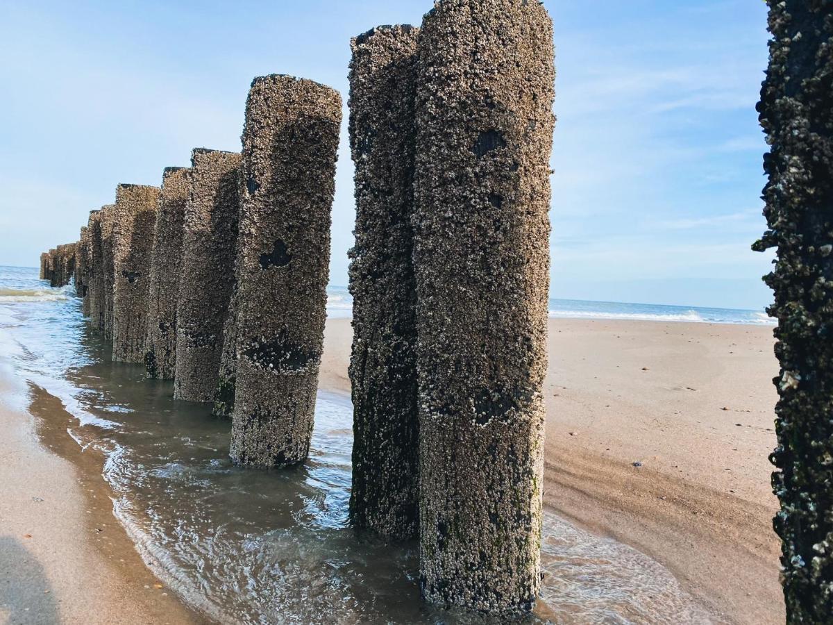 Vakantiehuis Domburg Do33 Екстериор снимка